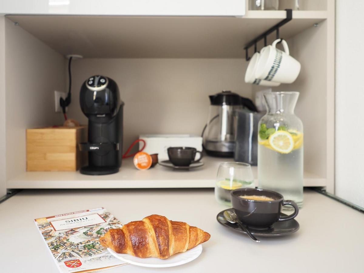 Papiu 9 Apartment Sibiu Ngoại thất bức ảnh